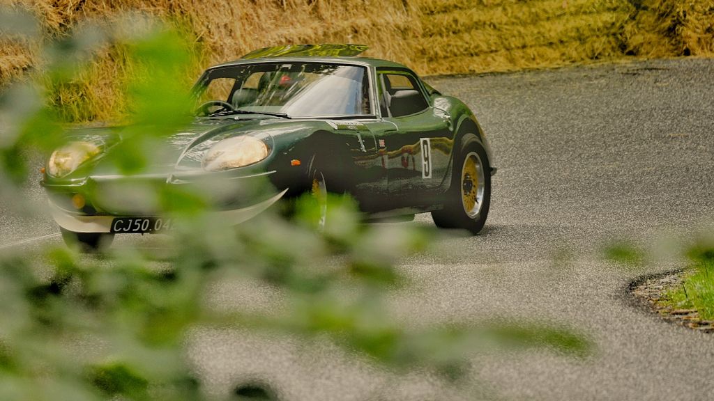 (Foto: Peter Elling-Jordt)
